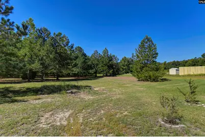235 Peachtree Extension, Gilbert, SC 29054 - Photo 6