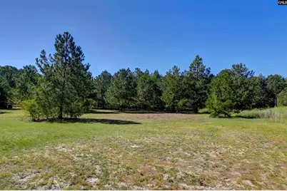 235 Peachtree Extension, Gilbert, SC 29054 - Photo 10
