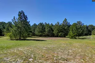 235 Peachtree Ext, Gilbert, SC 29054 - Photo 10