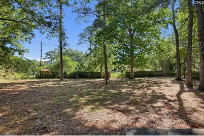 1824 Emerald Valley Road, Columbia, SC 29210 - Photo 8