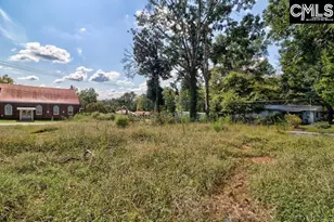 308 Nelson St, Whitmire, SC 29178 - Photo 20