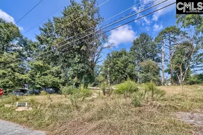 308 Nelson Street, Whitmire, SC 29178 - Photo 14