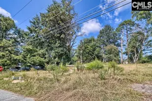 308 Nelson St, Whitmire, SC 29178 - Photo 14