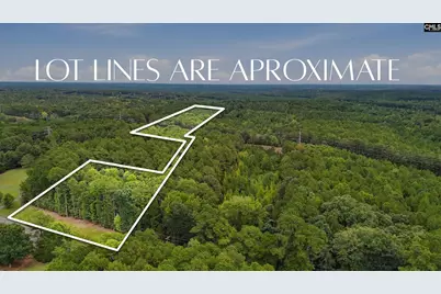 Tract A 215 Road, Jenkinsville, SC 29065 - Photo 10