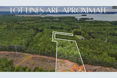 Tract A 215 Road, Jenkinsville, SC 29065 - Photo 6
