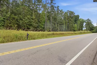 Tract A 215 Road, Jenkinsville, SC 29065 - Photo 2