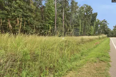 Tract A 215 Road, Jenkinsville, SC 29065 - Photo 1