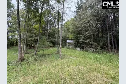 5485 Deadfall Road, Silverstreet, SC 29145 - Photo 6