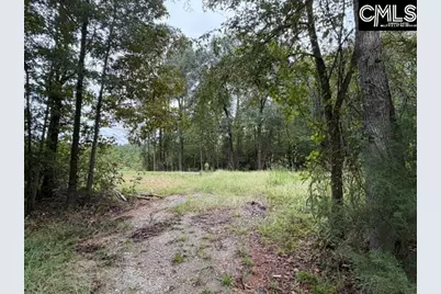 5485 Deadfall Road, Silverstreet, SC 29145 - Photo 12