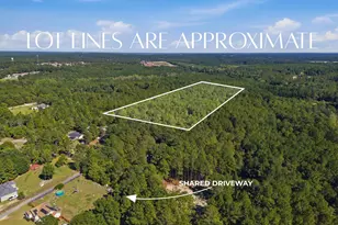 369 Green Hills Dr, Gilbert, SC 29054 - Photo 1