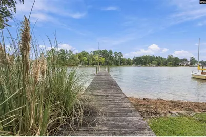 921 Sandbar Road, Chapin, SC 29036 - Photo 48