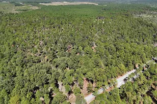 653 Holland Ln, Camden, SC 29020 - Photo 52