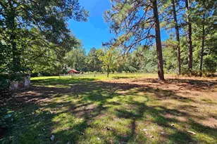 653 Holland Ln, Camden, SC 29020 - Photo 44