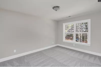 119 Greengarden Drive, Chapin, SC 29036 - Photo 42