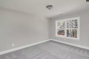119 Greengarden Dr, Chapin, SC 29036 - Photo 42