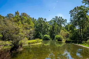 349 Turkey Farm Rd, Blythewood, SC 29016 - Photo 34