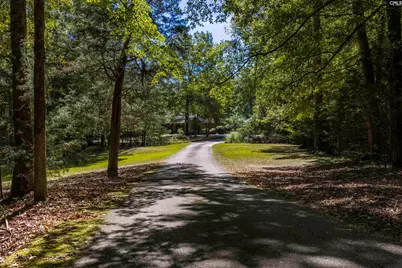 349 Turkey Farm Road, Blythewood, SC 29016 - Photo 48