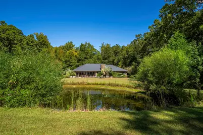 349 Turkey Farm Road, Blythewood, SC 29016 - Photo 36