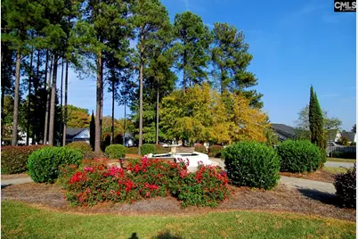 300 Baltica Lane, Irmo, SC 29063 - Photo 38