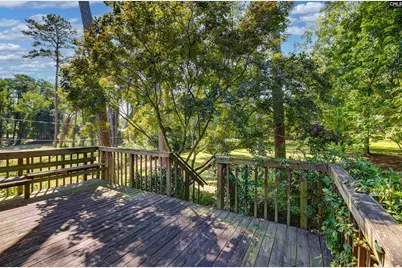 249 Morningside Drive, Columbia, SC 29210 - Photo 42