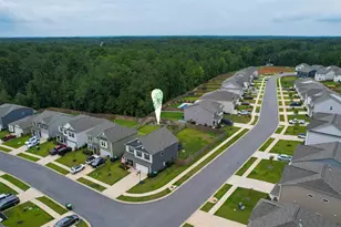 295 Chesapeake Dr, Chapin, SC 29036 - Photo 18