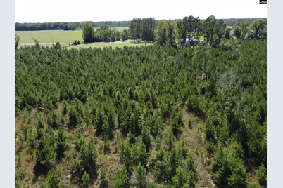 0 Tema Road #Lot 1, Hartsville, SC 29550 - Photo 12