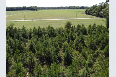 0 Tema Road #Lot 1, Hartsville, SC 29550 - Photo 10