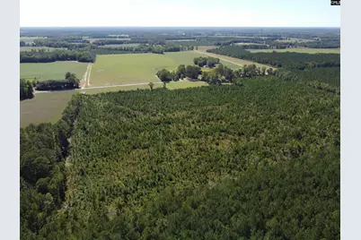 0 Tema Road #Lot 2, Hartsville, SC 29550 - Photo 36