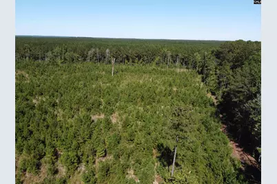 0 Tema Road #Lot 2, Hartsville, SC 29550 - Photo 44