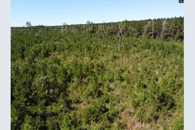 0 Tema Road #Lot 2, Hartsville, SC 29550 - Photo 30
