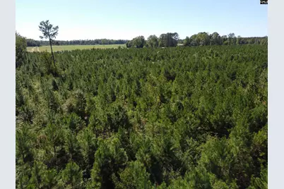 0 Tema Road #Lot 2, Hartsville, SC 29550 - Photo 38