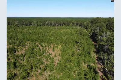0 Tema Road #Lot 2, Hartsville, SC 29550 - Photo 34
