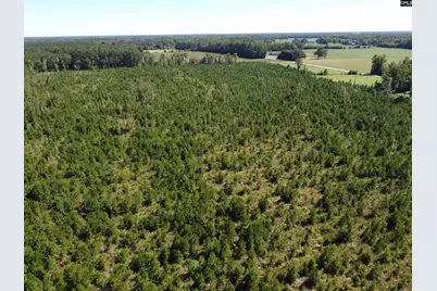 0 Tema Road #Lot 2, Hartsville, SC 29550 - Photo 48