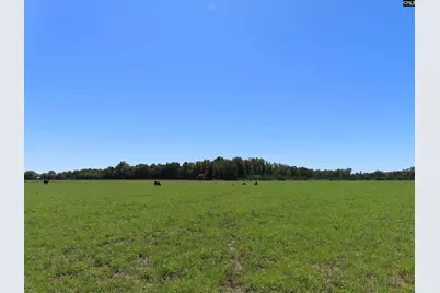 0 Tema Road #Lot 3, Hartsville, SC 29550 - Photo 38