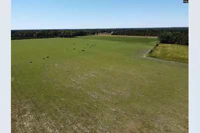 0 Tema Road #Lot 3, Hartsville, SC 29550 - Photo 34