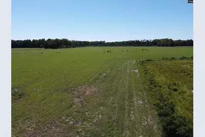 0 Tema Road #Lot 3, Hartsville, SC 29550 - Photo 10