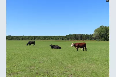 0 Tema Road #Lot 3, Hartsville, SC 29550 - Photo 2