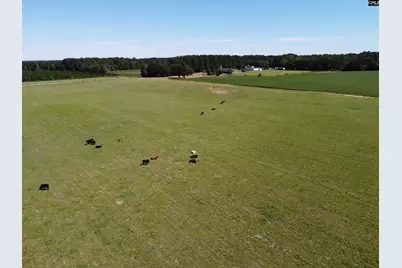 0 Tema Road #Lot 4, Hartsville, SC 29550 - Photo 24