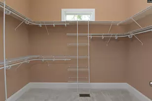 21 Palm Cres Ct, Blythewood, SC 29016 - Photo 58