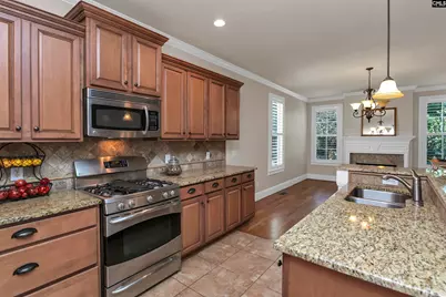 21 Palm Crescent Court, Blythewood, SC 29016 - Photo 2