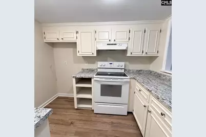 167 Lionsgate Drive, Columbia, SC 29223 - Photo 4