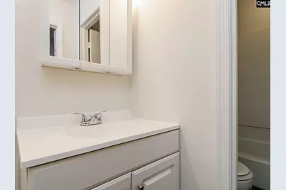 167 Lionsgate Drive, Columbia, SC 29223 - Photo 12