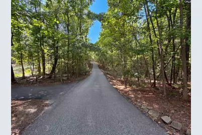 1516 Mullis Road, Blythewood, SC 29016 - Photo 26