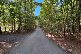 1516 Mullis Rd, Blythewood, SC 29016 - Photo 26