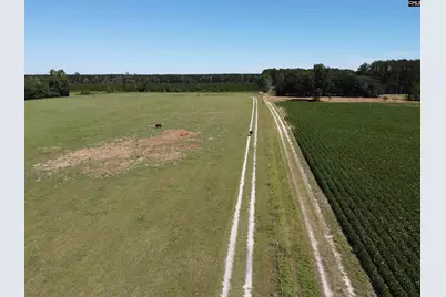 0 Tema Road #Lot 5, Hartsville, SC 29550 - Photo 8