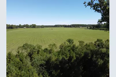 0 Tema Road #Lot 5, Hartsville, SC 29550 - Photo 10