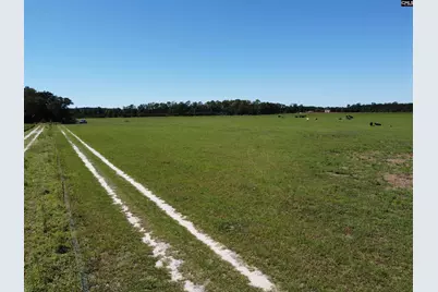 0 Tema Road #Lot 5, Hartsville, SC 29550 - Photo 12