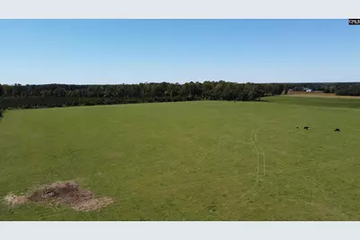 0 Tema Road #Lot 5, Hartsville, SC 29550 - Photo 40