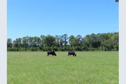 0 Tema Road #Lot 5, Hartsville, SC 29550 - Photo 26