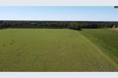 0 Tema Road #Lot 5, Hartsville, SC 29550 - Photo 30
